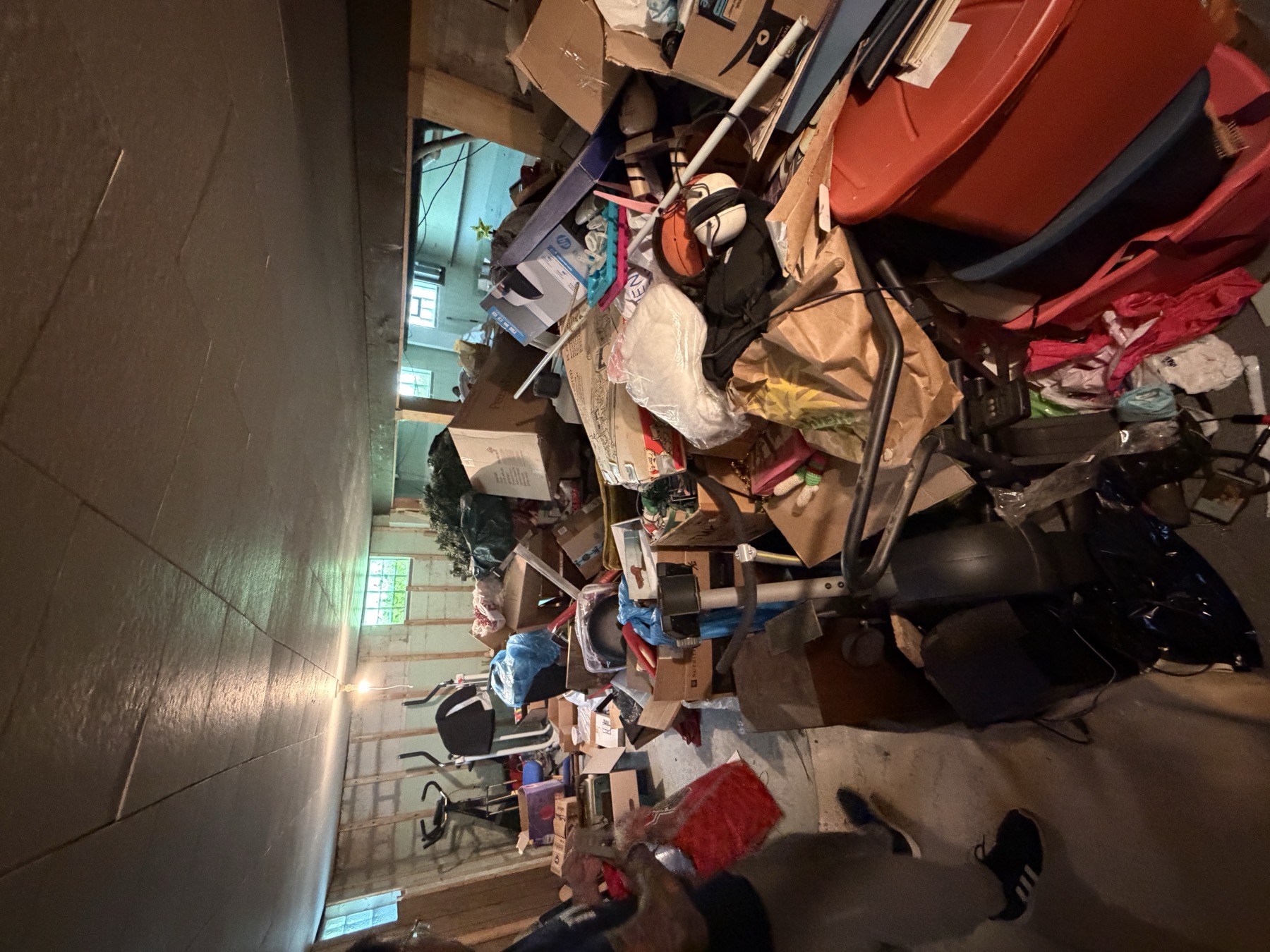 Basement after cleanout